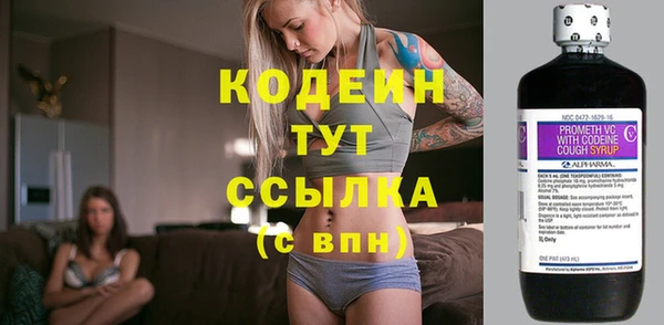 скорость Гусев