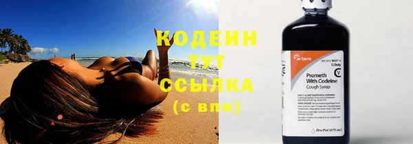 ECSTASY Гусь-Хрустальный
