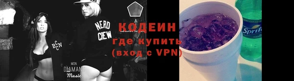 ECSTASY Гусь-Хрустальный