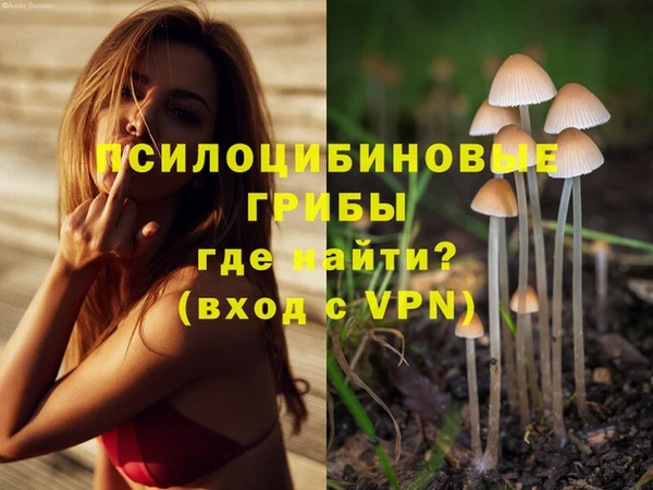 ГАЛЛЮЦИНОГЕННЫЕ ГРИБЫ Гусиноозёрск