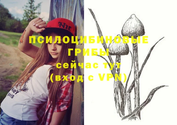 ECSTASY Гусь-Хрустальный