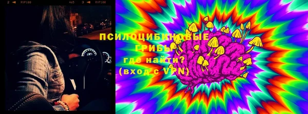 ГАЛЛЮЦИНОГЕННЫЕ ГРИБЫ Гусиноозёрск