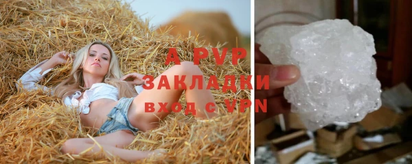 ГАЛЛЮЦИНОГЕННЫЕ ГРИБЫ Гусиноозёрск