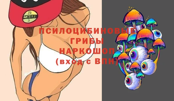 ECSTASY Гусь-Хрустальный