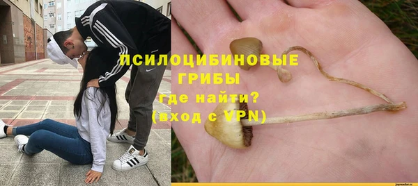 ГАЛЛЮЦИНОГЕННЫЕ ГРИБЫ Гусиноозёрск