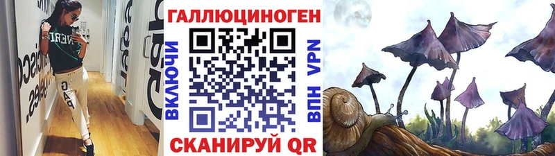 OMG как зайти  Нерюнгри  Псилоцибиновые грибы GOLDEN TEACHER 